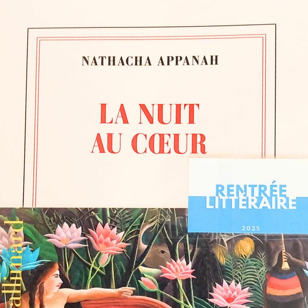 Conseil de lecture - La Nuit au coeur - Natacha Appanah